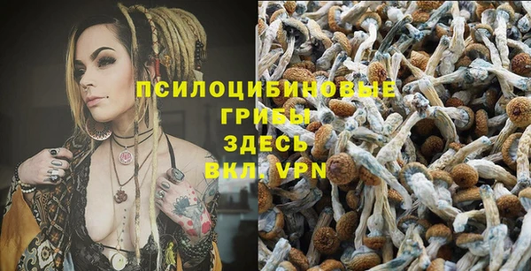 твердый Алексеевка