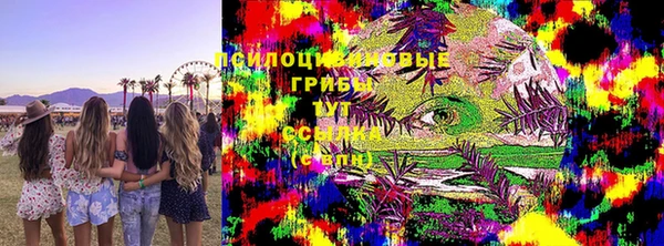 твердый Алексеевка
