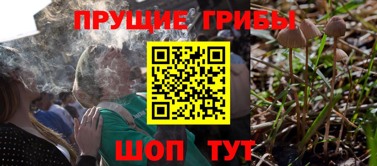 Псилоцибиновые грибы ЛСД  хочу наркоту  Елизово  Вход с VPN 