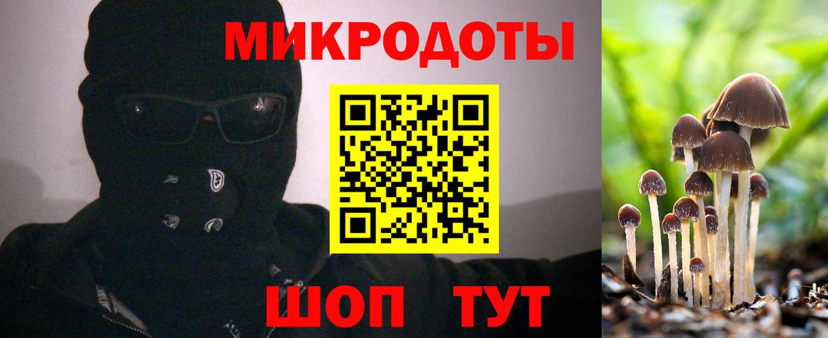Галлюциногенные грибы GOLDEN TEACHER Елизово